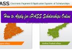 how to apply for epass fresh renewal scholarships online