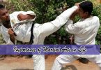 importance-of-martial-arts-karate-life-star-karate-club-hyd-karate